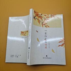 一米阳光的温暖