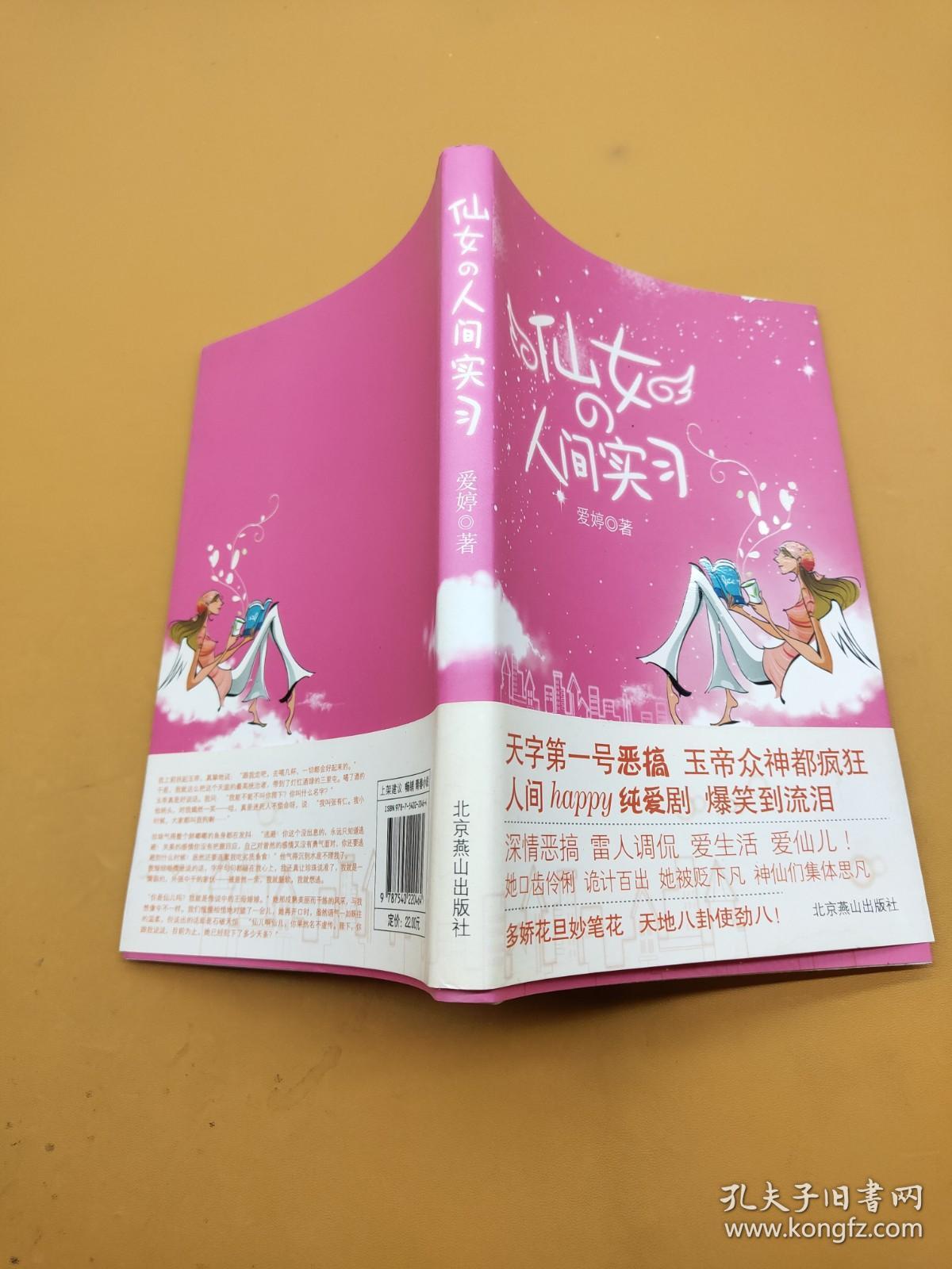 仙女的人间实习