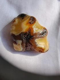 ML24  、马达加斯加玛瑙，俗称马料。奇石，观赏石，【  海星  】，尺寸： 6.5*5*3  厘米  。