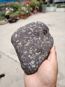 奇石；天然原石雪花石摆件有文字天书灰色高13厘米