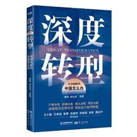 深度转型：大分化时代中国怎么办