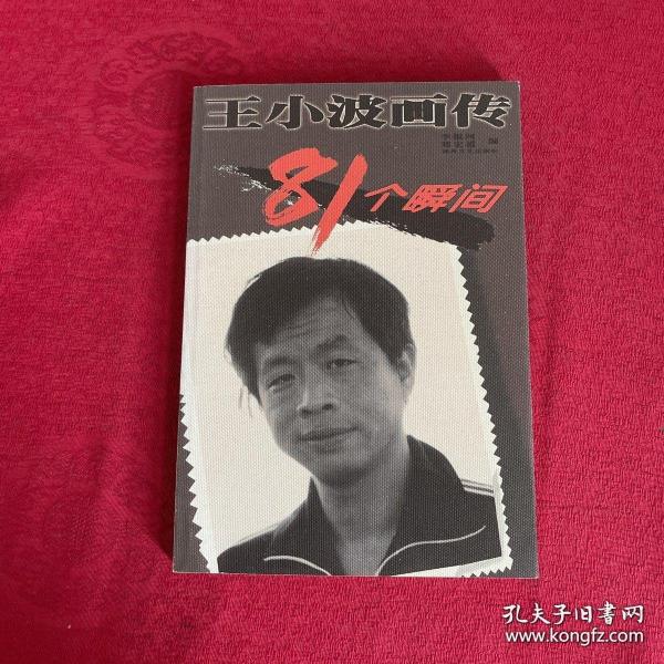 王小波画传81个瞬间