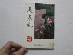 长春花