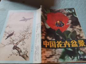 中国花卉盆景1985.3
