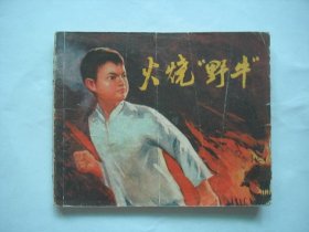 火烧“野牛”1974年版