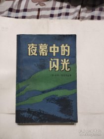 （沈阳14号）夜幕中的闪光   minhang !!%xiang