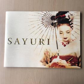 电影场刊 艺妓回忆录 SAYURI 阿部宽 章子怡 杨紫琼 写真集