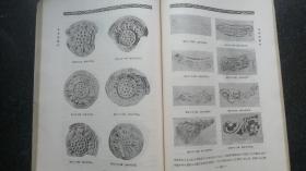 18）日昭和五年（1930年）9月《ワル ズ建筑大讲座 》  第Ⅱ卷 （日本建筑史） 非卖品一厚册（日本各时期建筑图片和手绘图片多多）