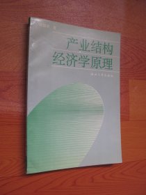 产业结构经济学原理