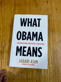 《WHAT OBAMA MEANS》