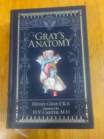 《Gray's Anatomy 格雷氏解剖学 经典解剖学信息参考 人体表面解剖图册解说展示 1096页精装厚本 英文原版》