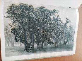 陈金章画集  签名本
