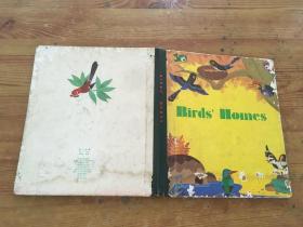 birds homes（货号c129)