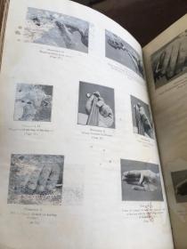 number 14.whole world series concert piano pieces the whole world plays