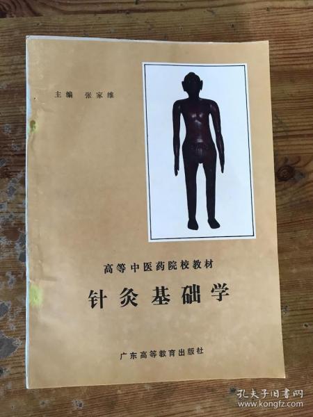 针灸基础学