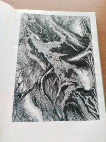 陈金章画集  签名本
