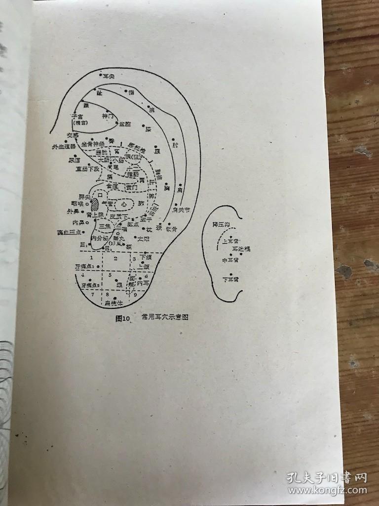中医五官科学基础 眼科部分