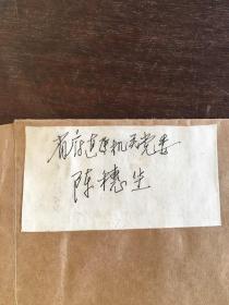 陈穗生 摄影《展翅欲飞》