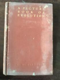 a picture book of evolution
