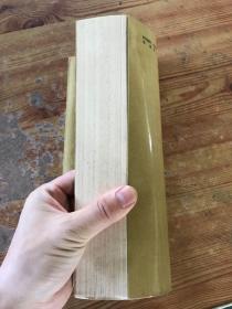 临床针灸治疗学