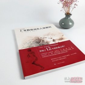 J.夏帕德动态人体解剖彩色版 理解人体形态 人体骨骼肌肉解剖实用人体素描速写人物基础技法教程人体速写临摹 零基础美术入门自学 9787549400461