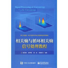 相关熵与循环相关熵信号处理教程