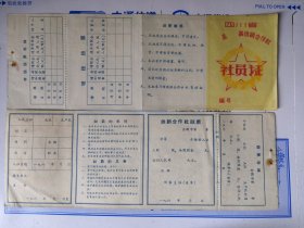 四川省60年代供销合作社社员股票