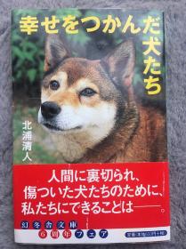 【日文原版小说|正版|中古|包邮】救助汪汪队合集《幸せをつかんだ犬たち》