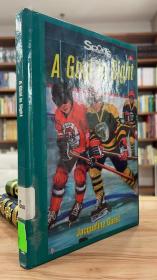 A Goal in Sight (Lorimer Sports Stories)