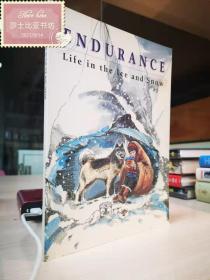 endurance: life in the ice and snow