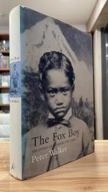 The Fox boy: the story of an abducted child 0