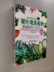 观叶观果植物1000种经典图鉴（超值白金版）