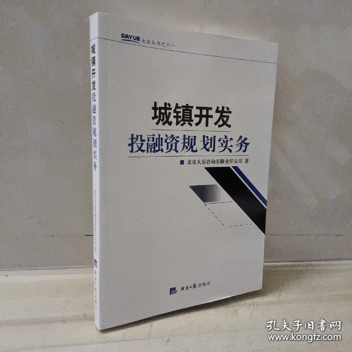 大岳丛书：城镇开发投融资规划实务