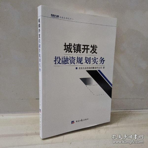 大岳丛书:城镇开发投融资规划实务