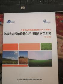 全球生态环境遥感监测2020年度报告——全球大宗粮油作物生产与粮食安全形势