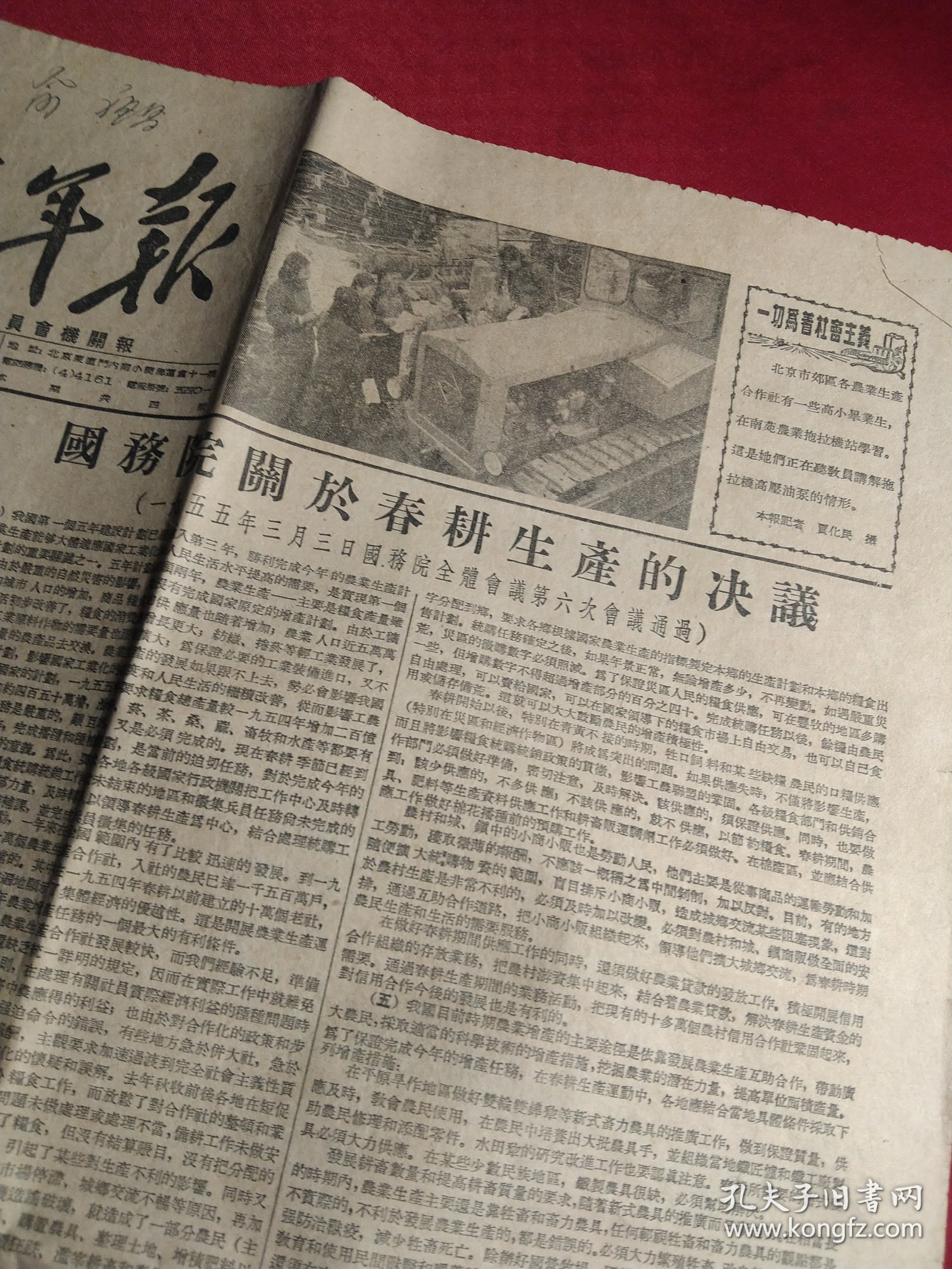 买满就送 中国青年报，1955年3月10日，当日全四版，国务院关于春耕生产的决议，青年童安第要求参加人民空军 彭德怀亲自复信批准，图片《守卫在祖国的海洋上》，《生活在喜马拉雅山中的战士》，介绍《新中国妇女》月刊，等