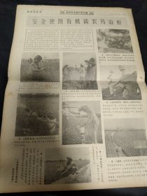 买满就送，老报纸两份，1968年5月15日，1968年12月28日，毛主席五七五九指示，毛主席诗词《咏梅》，义乌县召开全县重点科学实验小组会议，《我们也有两只手不在城市里吃闲饭——甘肃会宁县部分居民奔赴农村安家落户》