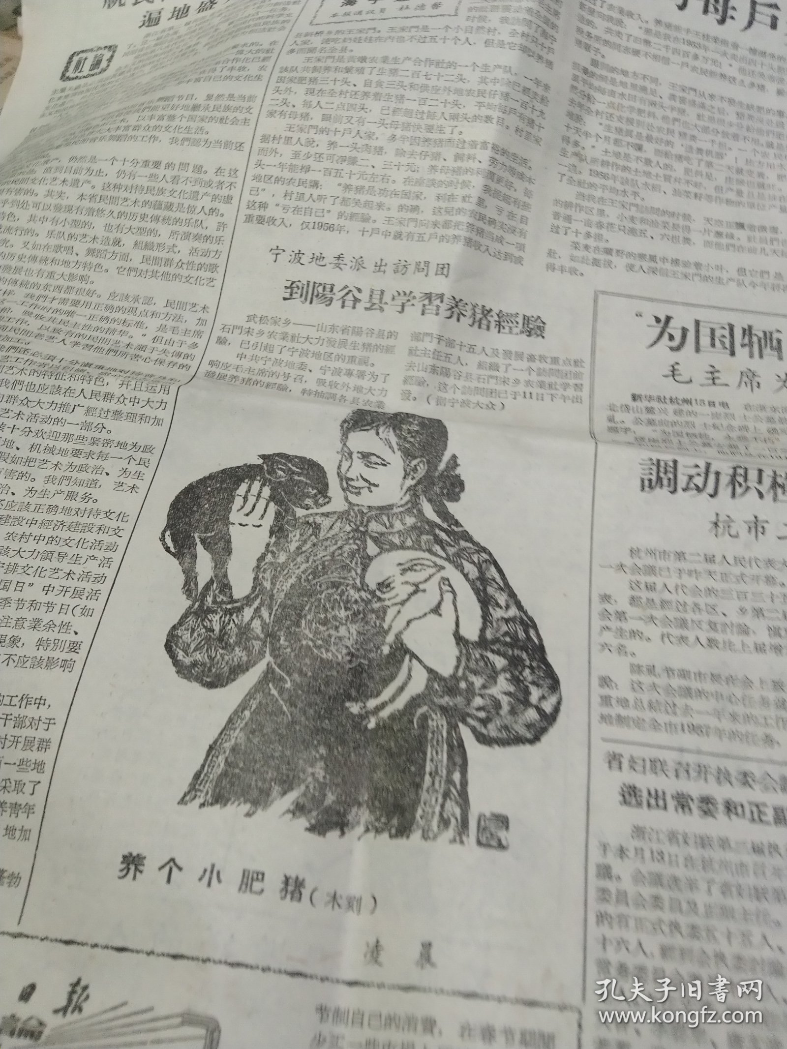 《浙江日报》1957年1月16日，全四版，毛主席为洞头岛烈士墓题词，宁波派访问团到阳谷县学习养猪， 木刻《养个小肥猪》， 海宁王家门村平均每户养猪十二头，本省缫丝工人实行八小时工作制，照片：杭州通用机器厂工人，鄞县供销社古林草席站试用稻草织席成功，嘉兴王店乡镇南农业生产合作社办展览会，关于农业社分级分权问题的意见（诸暨县委副书记），杭州水泥厂供应石灰启事，介绍黄公望《剩山图》元王蒙《松窗读易图》