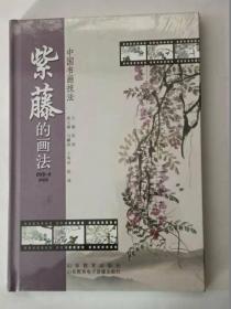 中国书画技法：紫藤的画法    DVD-9    单碟装     (未开封）