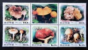 朝鲜2002年蝴蝶原胶全品新票4枚全套（大票）/可能有软印等小瑕疵的1.2元每套