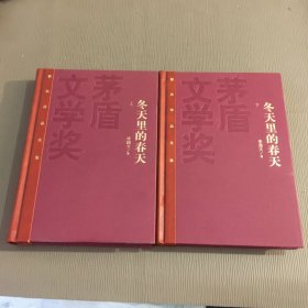 冬天里的春天（上下）