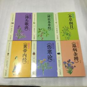 彩色图解：本草纲目、黄帝内经、温病条辨、神农本草经、汤头歌诀、伤寒论（全六册）