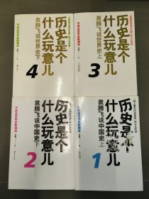 历史是个什么玩意儿：袁腾飞说世界史上下、袁腾飞说中国史上下（1、2、3、4全4册）正版