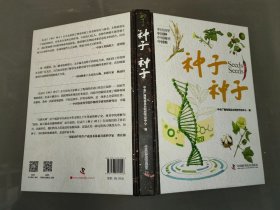 种子种子