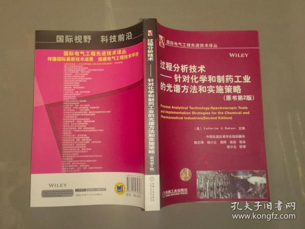 过程分析技术：针对化学和制药工业的光谱方法和实施策略（原书第2版）