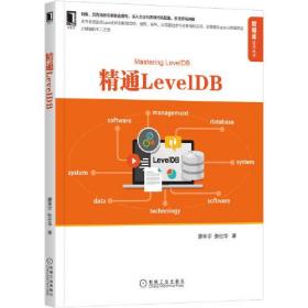 精通Leve1DB