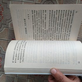 历史在这里沉思 1966一1976年记实 (3)