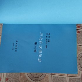 历史在这里沉思 1966一1976年记实 (3)