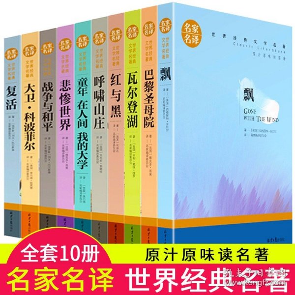 红与黑 中小学生课外阅读书籍世界经典文学名著青少年儿童文学读物故事书名家名译原汁原味读原著