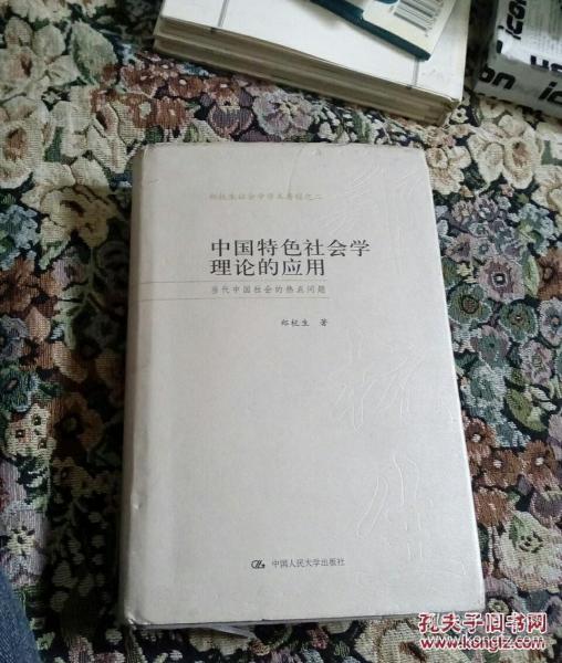 中国特色社会学理论的应用：当代中国社会的热点问题